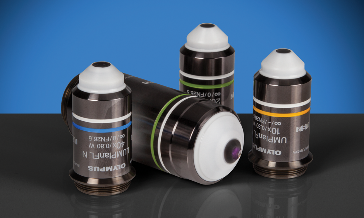 Olympus Water Immersion Objectives