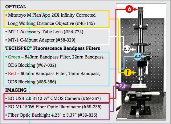 Components for Analysis of Trichrome Stain Setup