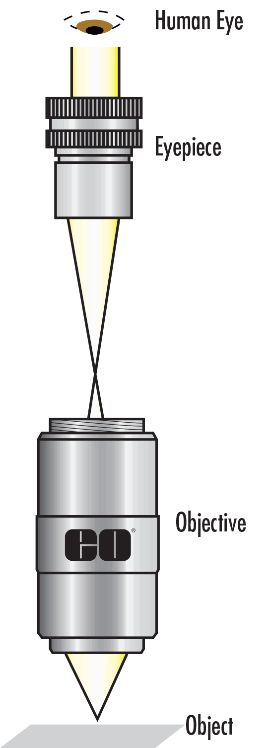 Simplified Finite Conjugate Microscope Design