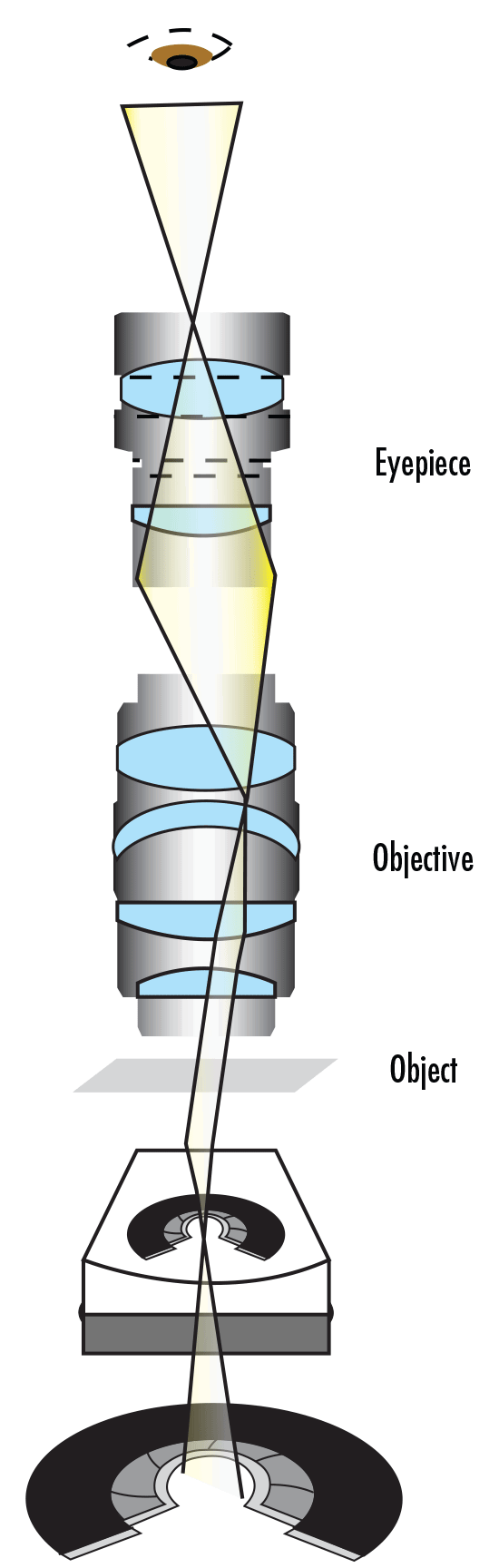 Koehler Illumination Setup